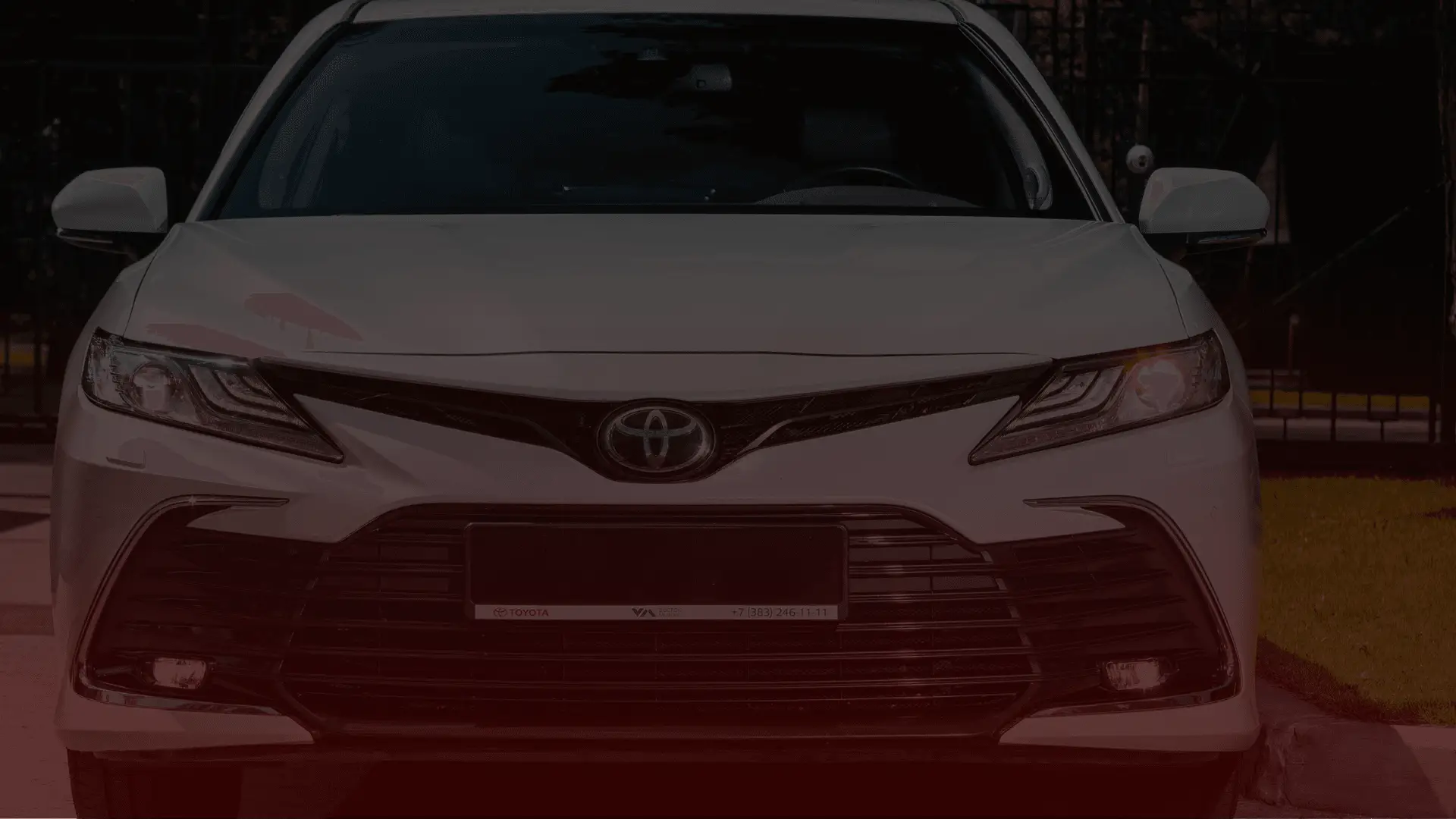 Front view of a white Toyota sedan parked outdoors, showcasing its sleek, modern grille and the iconic emblem. Whether in need of a check-up or repairs, trust your vehicle with a Toyota mechanic in Guelph. The background displays a blurred fence and lush greenery. EuroMechanic | Brock Road Garage Guelph | Top Reviewed Auto Repair Shop in Guelph | Visit brockroadgarage.ca