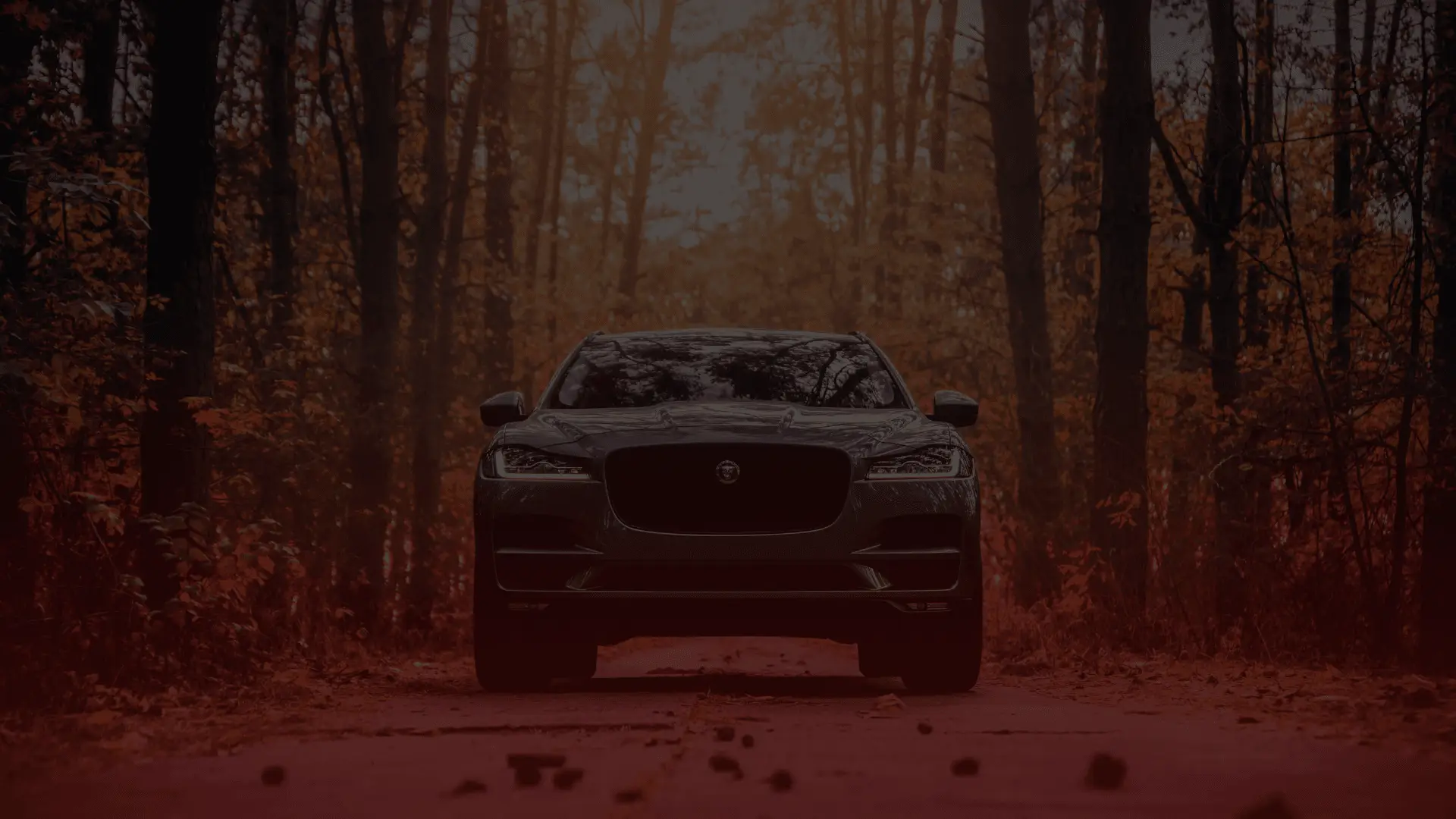 A sleek black Jaguar is parked on a leaf-covered forest road. Tall trees with autumn leaves line the path, creating a tunnel-like effect. The lighting lends a dark, moody atmosphere to the scene—much like mysterious tales shared by an old mechanic in Guelph. EuroMechanic | Brock Road Garage Guelph | Top Reviewed Auto Repair Shop in Guelph | Visit brockroadgarage.ca